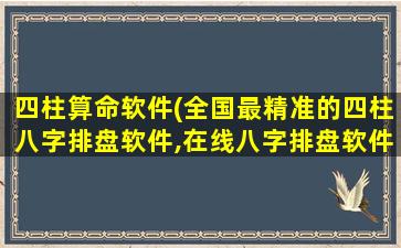 四柱算命软件(全国最精准的四柱八字排盘软件,在线八字排盘软件哪个好 )